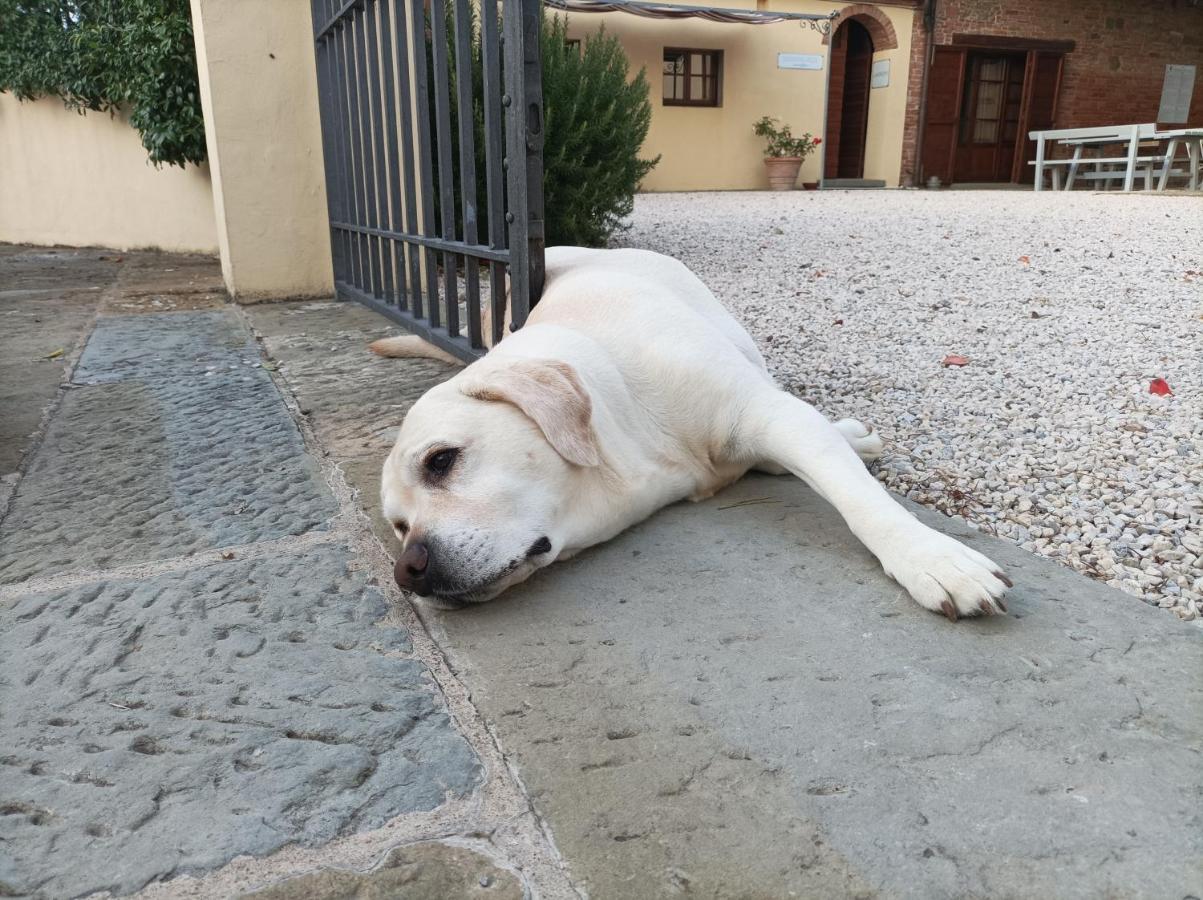 Podere Il Belvedere Su Cortona Castiglion Fiorentino Luaran gambar